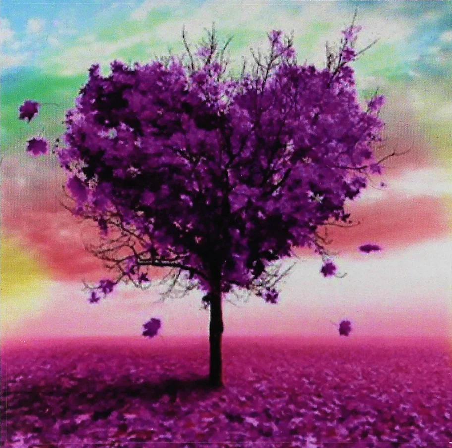 Product image 75